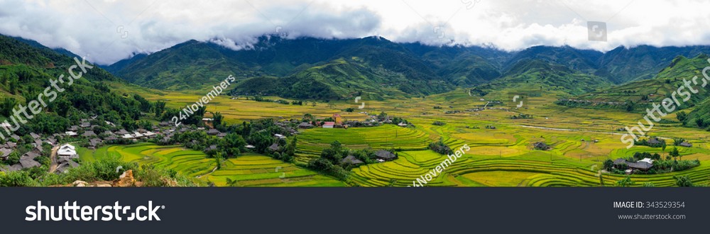 Ruộng bậc thang Tây Bắc MRBT-023